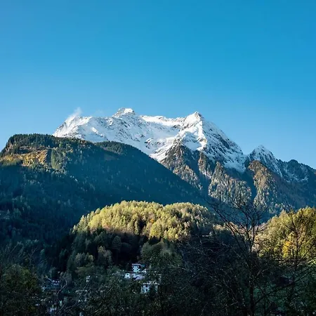 Alpen Michael 公寓 迈尔霍芬