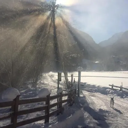 Alpen Michael * Mayrhofen