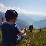 Alpen Michael 아파트 메이른호픈